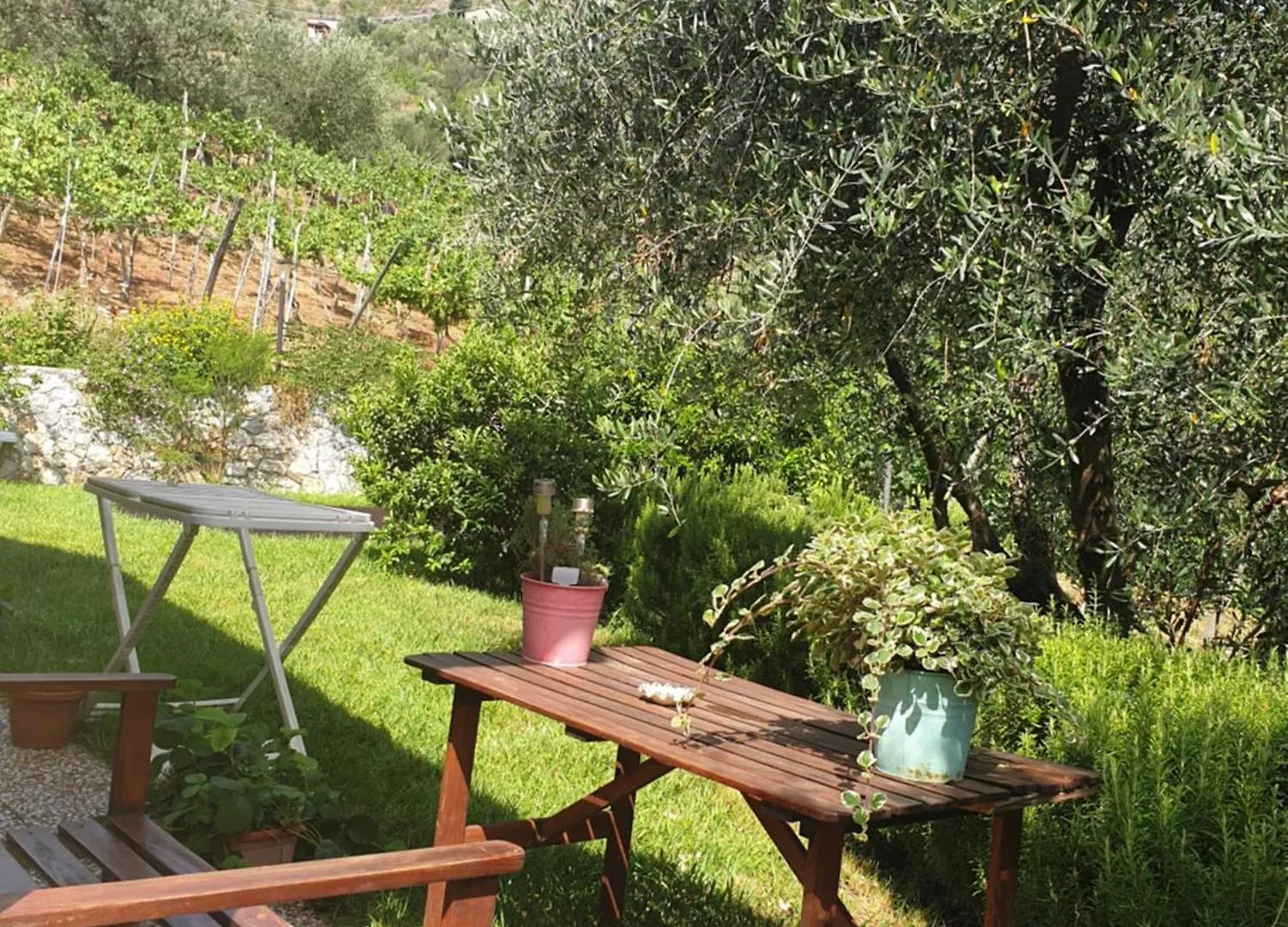 Agriturismo La Collina Verde Levanto 0*,