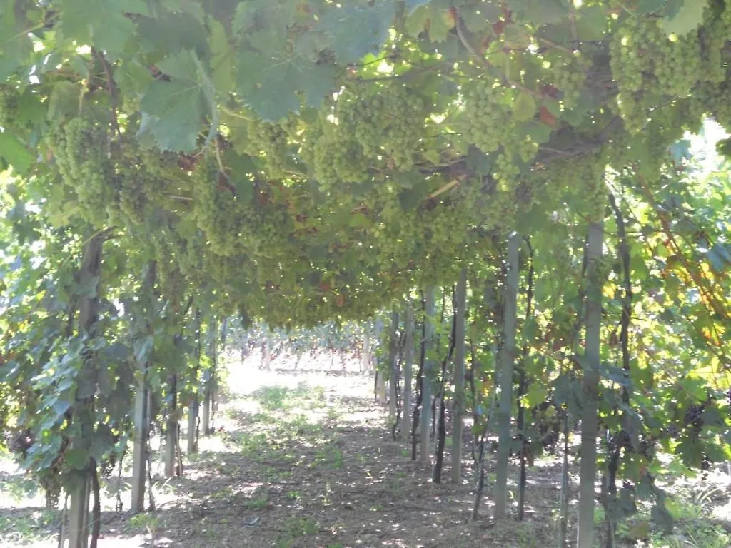 Agriturismo La Collina Verde Levanto